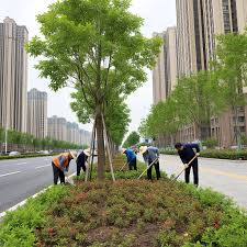2026世界杯官网 室外立体绿化工程施工规范