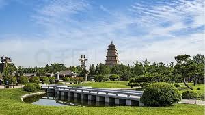 世界杯官网 广州绿化工程付款方式